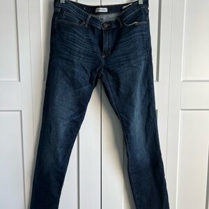 Banana Republic Blue Skinny Denim Jeans